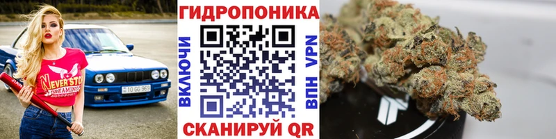 закладки  Новоалтайск  МАРИХУАНА семена 